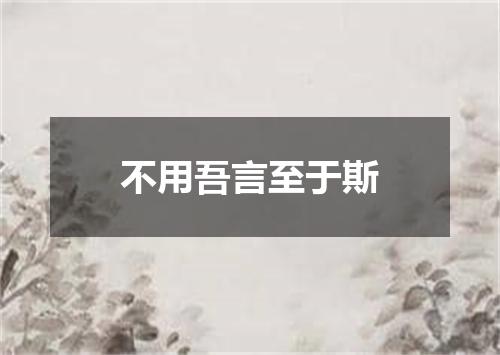 不用吾言至于斯