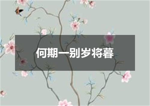 何期一别岁将暮