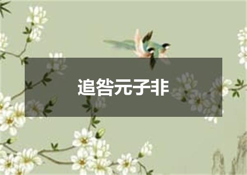追咎元子非