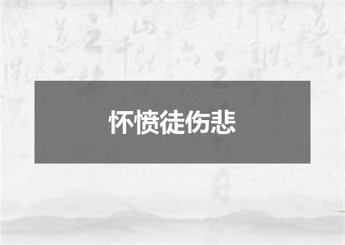 怀愤徒伤悲