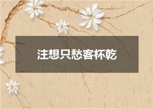 注想只愁客杯乾