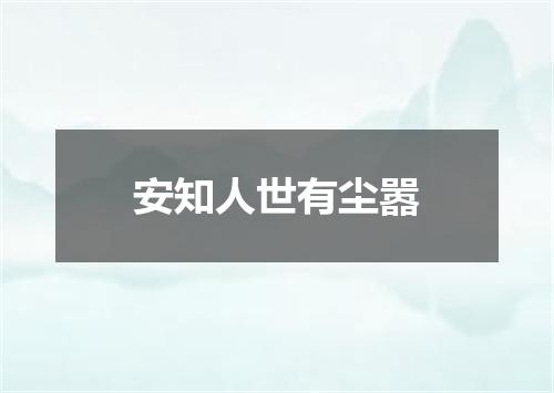 安知人世有尘嚣