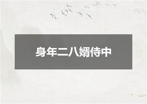 身年二八婿侍中