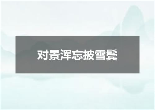 对景浑忘披雪鬓