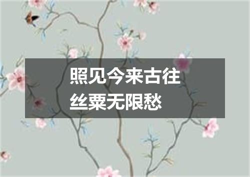 照见今来古往丝粟无限愁