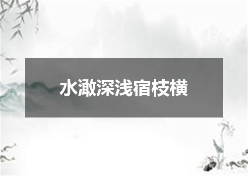 水澉深浅宿枝横