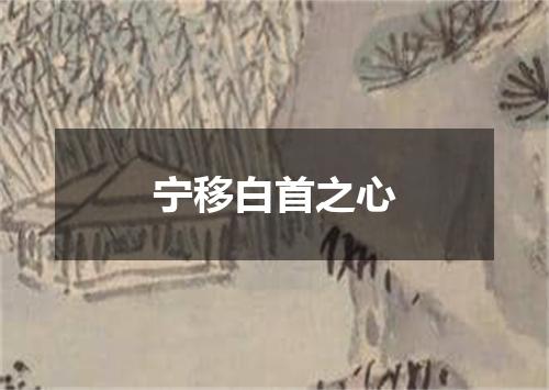 宁移白首之心