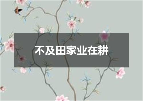 不及田家业在耕