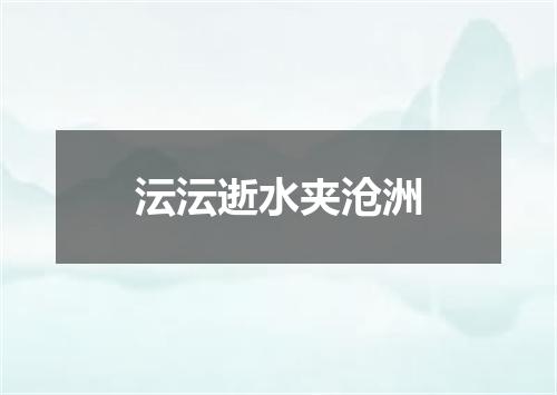 沄沄逝水夹沧洲