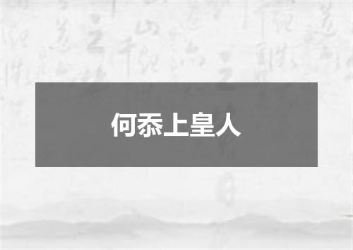 何忝上皇人