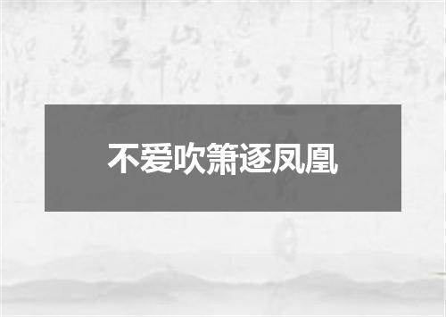 不爱吹箫逐凤凰