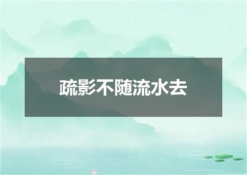 疏影不随流水去