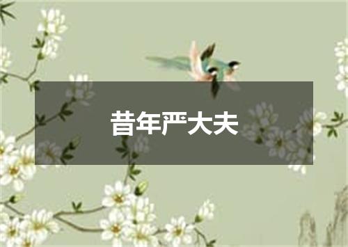 昔年严大夫
