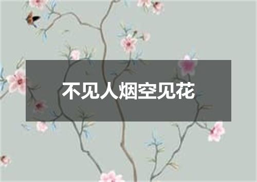 不见人烟空见花