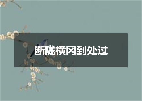 断陇横冈到处过