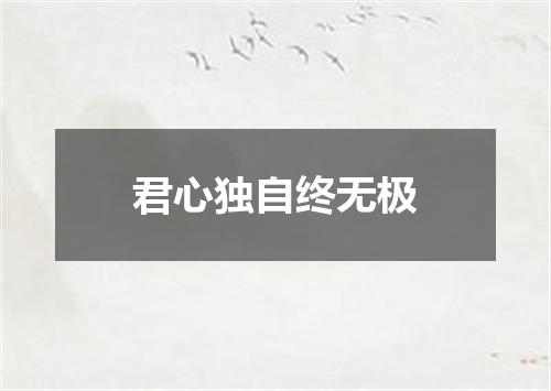 君心独自终无极