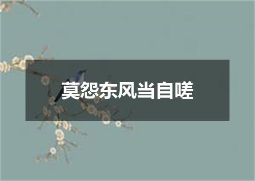 莫怨东风当自嗟
