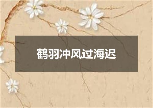 鹤羽冲风过海迟