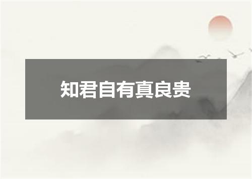 知君自有真良贵