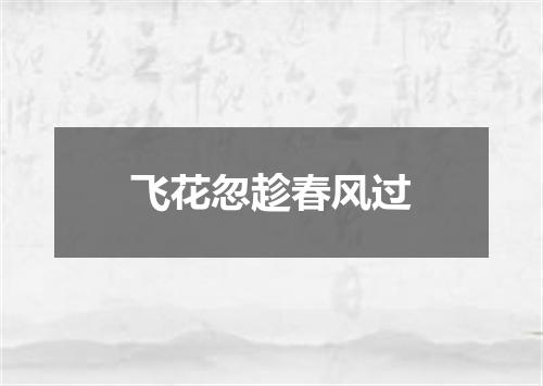 飞花忽趁春风过