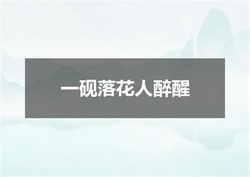 一砚落花人醉醒