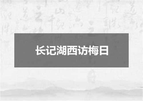 长记湖西访梅日