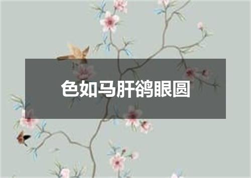 色如马肝鹆眼圆