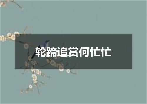 轮蹄追赏何忙忙