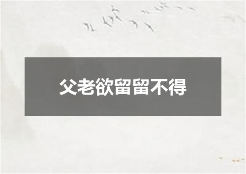 父老欲留留不得