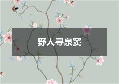 野人寻泉窦