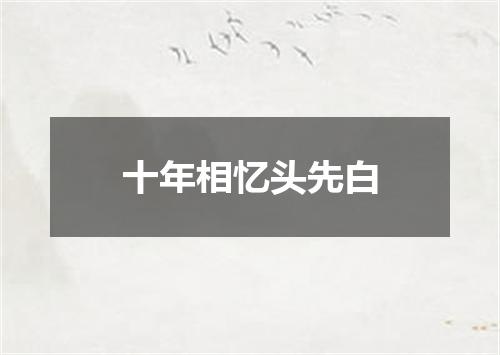 十年相忆头先白