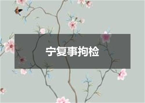 宁复事拘检
