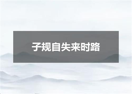 子规自失来时路