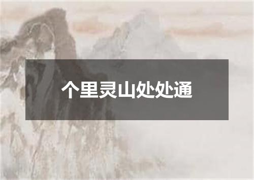 个里灵山处处通