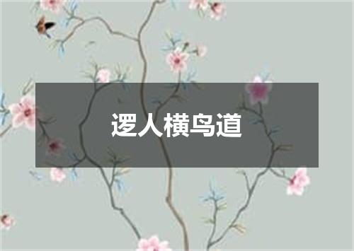 逻人横鸟道