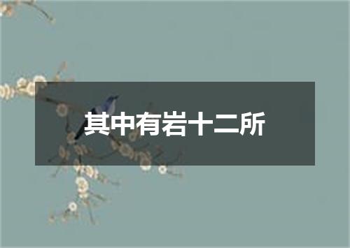 其中有岩十二所
