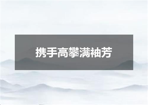 携手高攀满袖芳