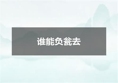 谁能负瓮去