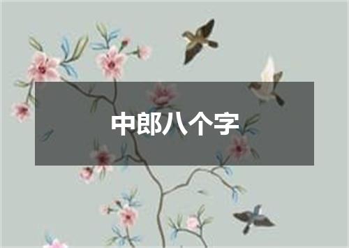 中郎八个字