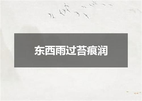 东西雨过苔痕润