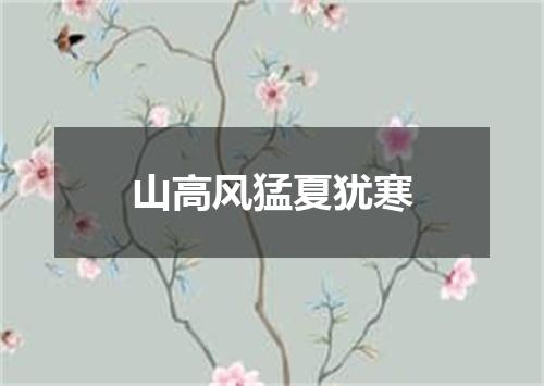山高风猛夏犹寒