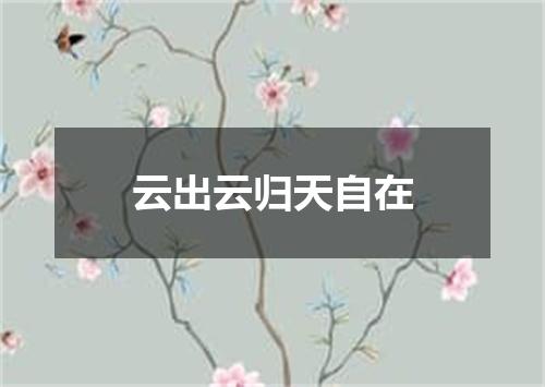 云出云归天自在