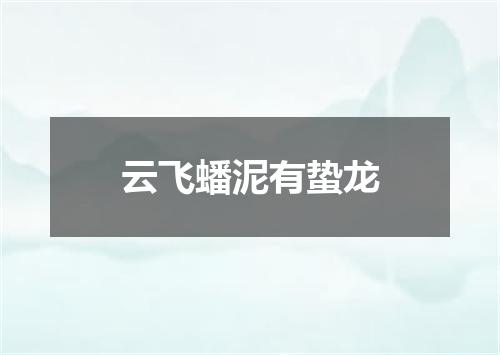 云飞蟠泥有蛰龙