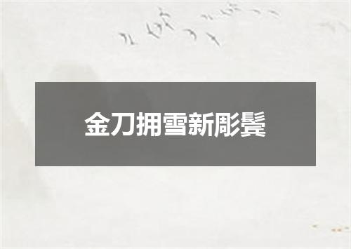 金刀拥雪新彫鬓