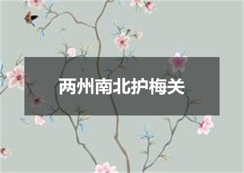 两州南北护梅关