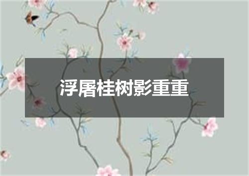 浮屠桂树影重重