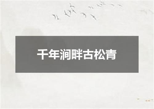 千年涧畔古松青