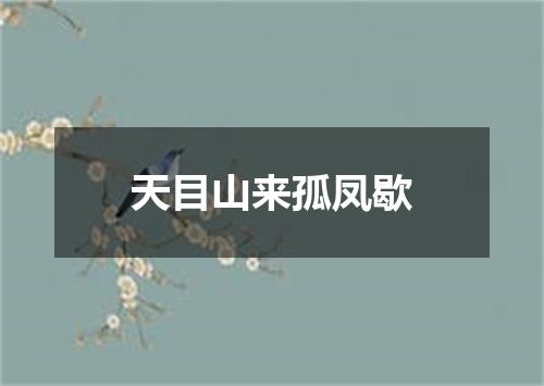 天目山来孤凤歇