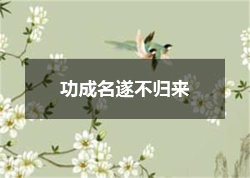 功成名遂不归来