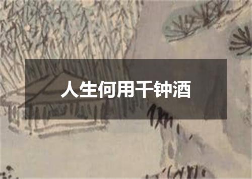 人生何用千钟酒